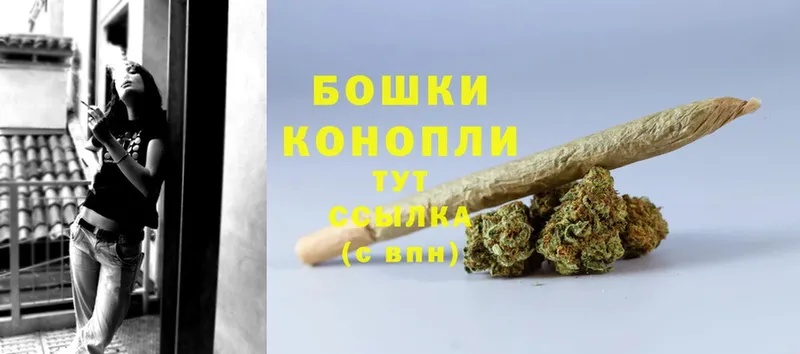 Шишки марихуана OG Kush  Алексин 